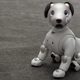 All images: Alex Cranz/Gizmodo